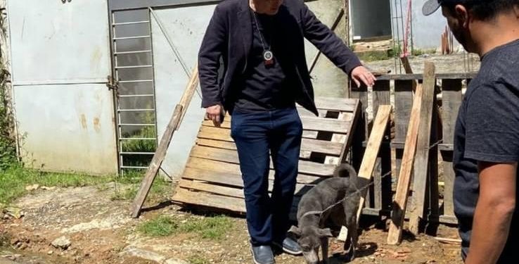 Polícia Civil resgata cachorro vítima de maus-tratos em Piraí