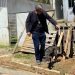 Polícia Civil resgata cachorro vítima de maus-tratos em Piraí
