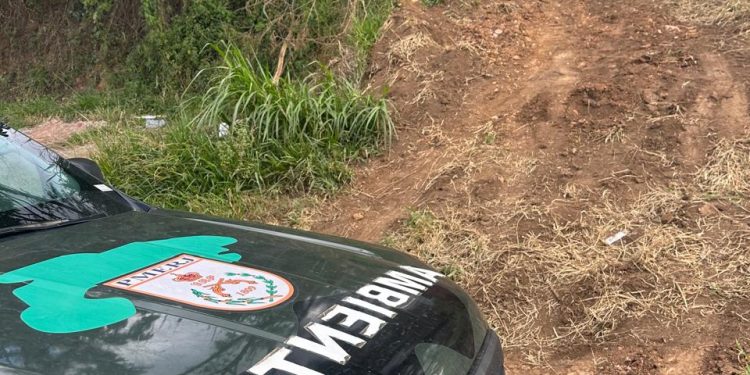 No dia Nacional do Solo, Polícia Ambiental identifica terraplanagem e arruamento sem licença