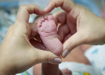 Alerj aprova lei que garante direito à maternidade para mulheres em qualquer condição econômica no RJ
