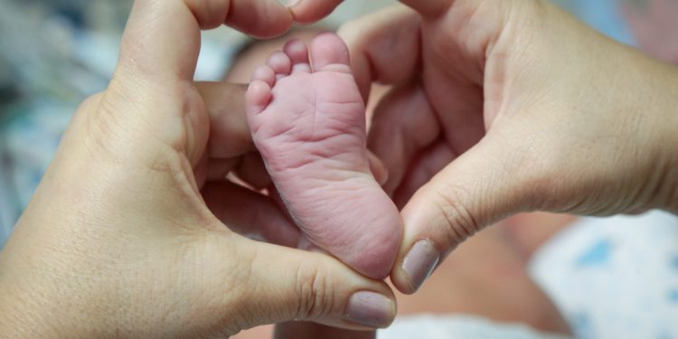 Alerj aprova lei que garante direito à maternidade para mulheres em qualquer condição econômica no RJ