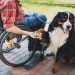 Nova lei obriga hotéis do RJ a aceitarem animais de assistência emocional