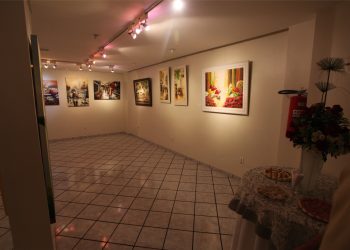 Galeria de Arte do GACEMSS abre inscrições para Programa de Exposições 2025