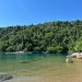 Presença de tubarões galha-preta em área próxima às usinas de Angra indica equilíbrio ambiental
