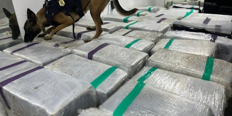 PRF encontra 3 toneladas de maconha em fundo falso de caminhão na Dutra