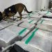 PRF encontra 3 toneladas de maconha em fundo falso de caminhão na Dutra