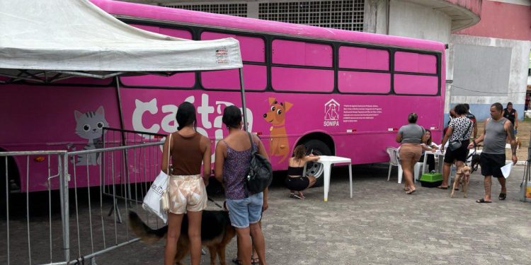 Paraty recebe programa de castração gratuita para cães e gatos