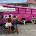 Paraty recebe programa de castração gratuita para cães e gatos