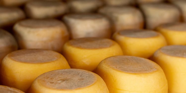 Governo do Rio lança cartilha com orientações para obtenção do Selo Queijo Artesanal