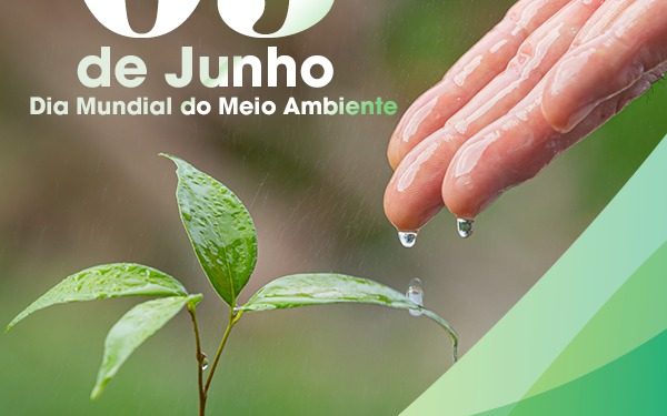 Linha Verde aponta aumento de 42% nas denúncias de crimes ambientais no RJ em 2025