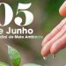 Linha Verde aponta aumento de 42% nas denúncias de crimes ambientais no RJ em 2025