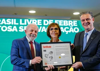 Brasil recebe certificado de país livre da febre aftosa
