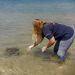 Eletronuclear atua na preservação de tartarugas marinhas com programa ambiental em Angra