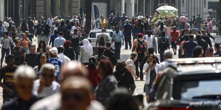 Governo estabelece cota de 8% para mulheres vítimas de violência em contratações públicas