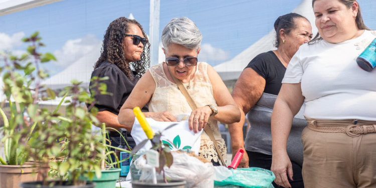 Governo do RJ leva projeto Agricultura Social a Areal com ações de cidadania e inclusão no campo