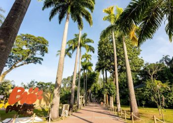 Governo do RJ confirma caso de gripe aviária no BioParque do Rio