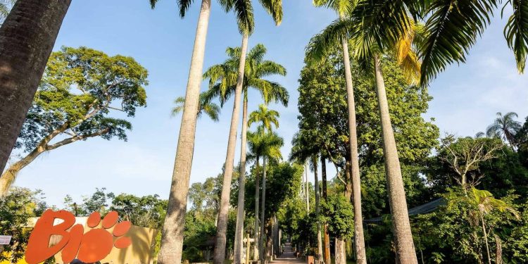 Governo do RJ confirma caso de gripe aviária no BioParque do Rio