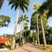 Governo do RJ confirma caso de gripe aviária no BioParque do Rio