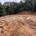 Polícia Ambiental identifica desmatamento em Angra dos Reis