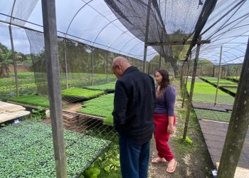 Volta Redonda lança projeto com atividades terapêuticas para crianças neurodivergentes