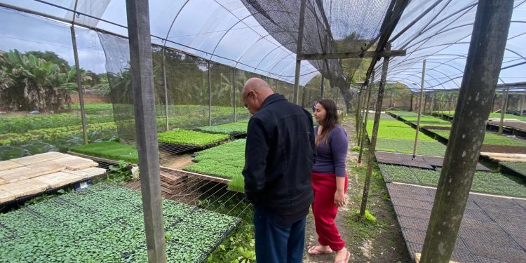 Volta Redonda lança projeto com atividades terapêuticas para crianças neurodivergentes