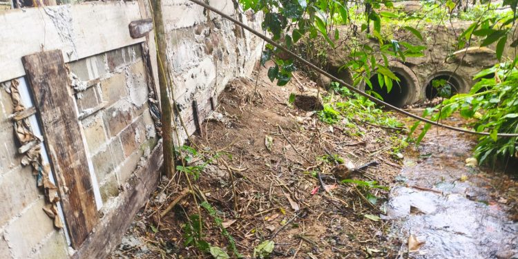 Polícia Ambiental identifica possível construção irregular em Paraty
