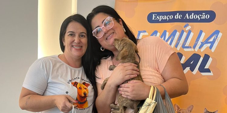 Espaço ‘Família Animal’ promove adoção de 11 cães e gatos em Volta Redonda