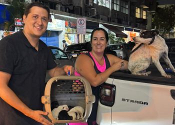 Volta Redonda homenageia protetores de animais com evento e entrega de carteirinhas