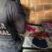 PF prende homem suspeito de produzir vídeos de abuso sexual infantil com a filha