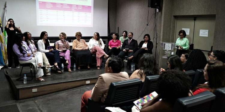 Cerca de 100 entidades debatem mudanças na Lei Maria da Penha em Volta Redonda