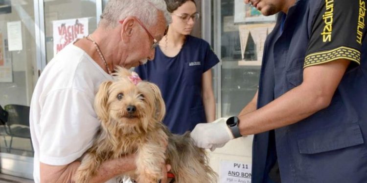 Barra Mansa inicia vacinação antirrábica para cães e gatos