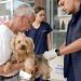 Barra Mansa inicia vacinação antirrábica para cães e gatos