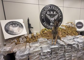 PF apreende quase 1 tonelada de maconha e fuzil em caminhão na Dutra