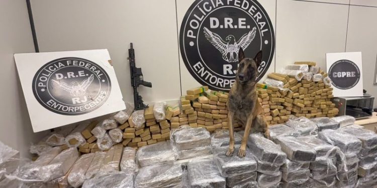 PF apreende quase 1 tonelada de maconha e fuzil em caminhão na Dutra