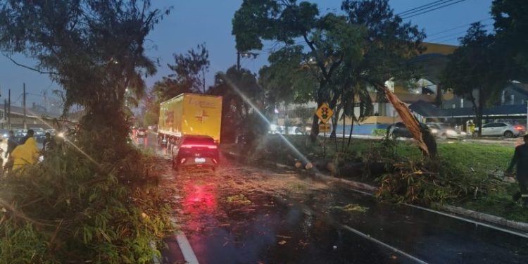 Forte chuva causa quedas de árvores e pontos de alagamento em Volta Redonda