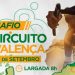 Valença recebe etapa do Circuito Desafio de Bike do Vale do Café