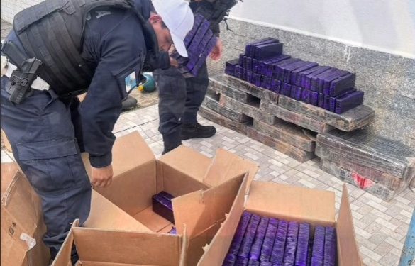 Polícia apreende mais de 350 kg de maconha em rodovia de Resende