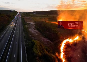 Queimadas na Dutra colocam motoristas em risco e já somam mais de 500 focos em 2025