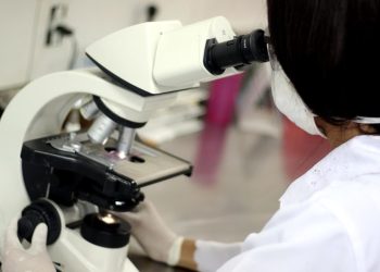 Prova Cruzada Virtual acelera transplantes e aumenta segurança de doações de órgãos