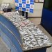 PM prende suspeito com grande quantidade de drogas em Barra Mansa