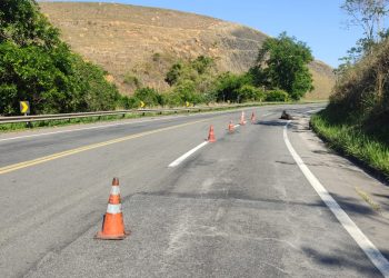 Acidentes com bovinos causam interdições na BR-393 em Barra do Piraí