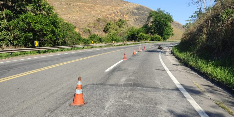 Acidentes com bovinos causam interdições na BR-393 em Barra do Piraí