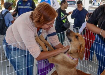 Campanha “Me Leva Pra Casa” abre calendário de adoções de 2026 em Barra do Piraí