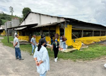 Inea interdita unidades da Granja Rica após denúncias