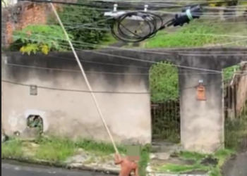 Adolescente é flagrado praticando maus-tratos contra macaco sagui em Volta Redonda