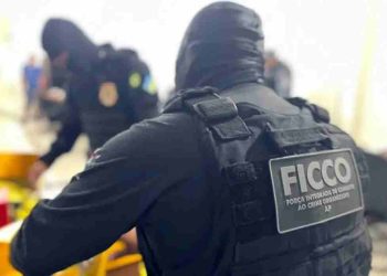Força integrada apreende mais de uma tonelada de drogas em uma semana
