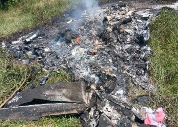 Avião cai em área de mata em Rio Claro e mata pai e filho