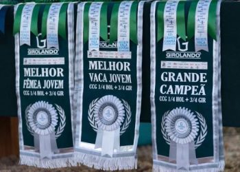 Expo Girolando reúne criadores de vários estados e movimenta o agro em Barra Mansa