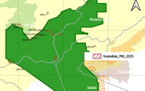 PNI reduz em 80% área queimada e reforça estratégia de combate a incêndios