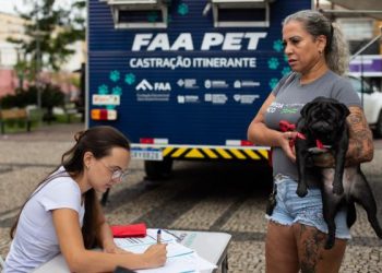 Volta Redonda abre mais 260 vagas para castração gratuita de cães e gatos
